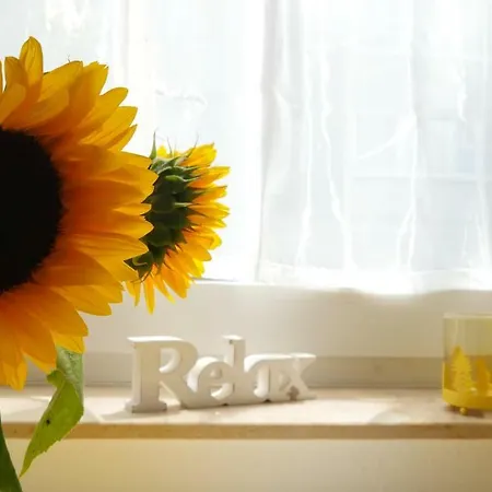 Relax Aachener Board Phase 4